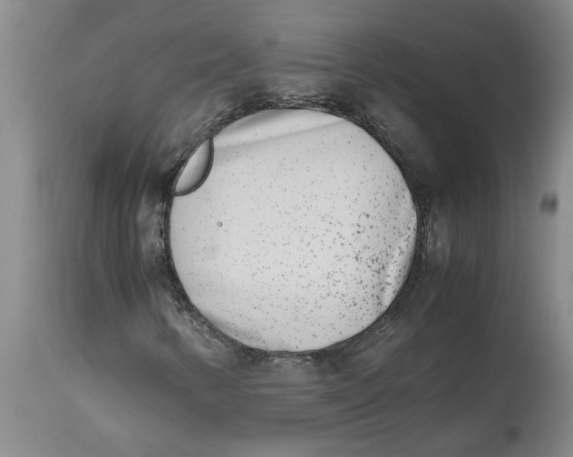 X0000113171346200909251408