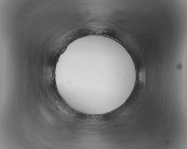 X0000113171347200909251408