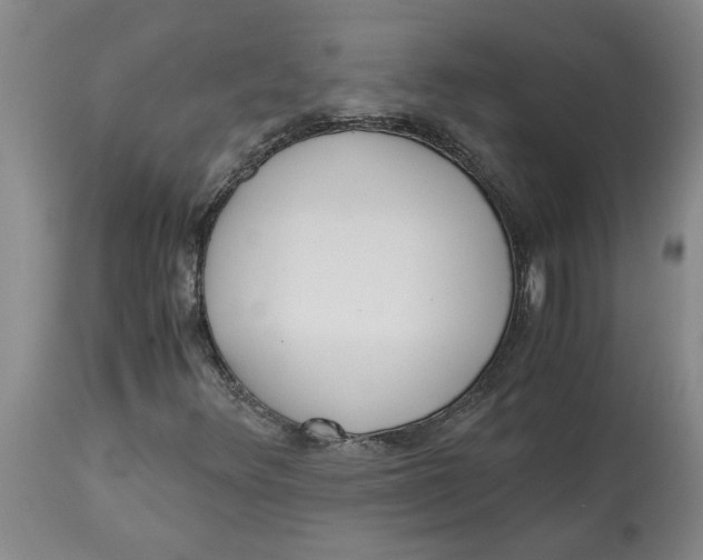 X0000113171348200909251408