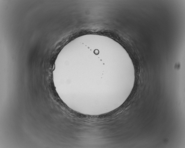 X0000113171349200909251408