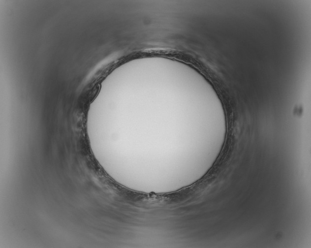 X0000113171351200909251407