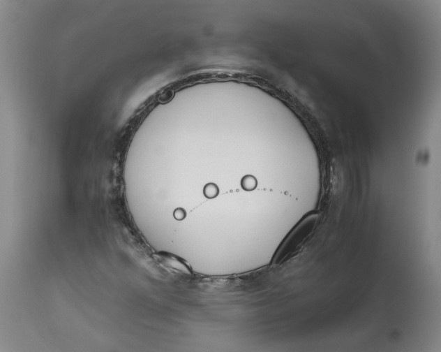 X0000113171352200909251407