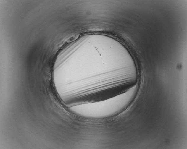 X0000113171353200909251407