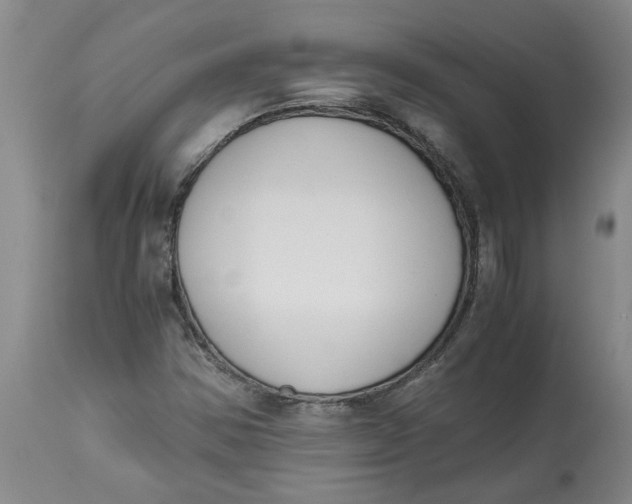 X0000113171354200909251407