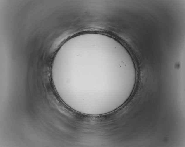 X0000113171355200909251407