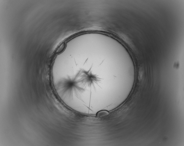 X0000113171356200909251407