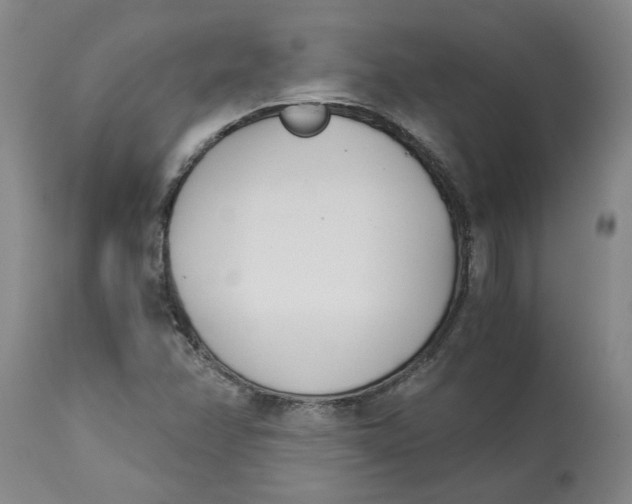 X0000113171358200909251407