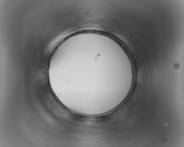 X0000113171359200909251407