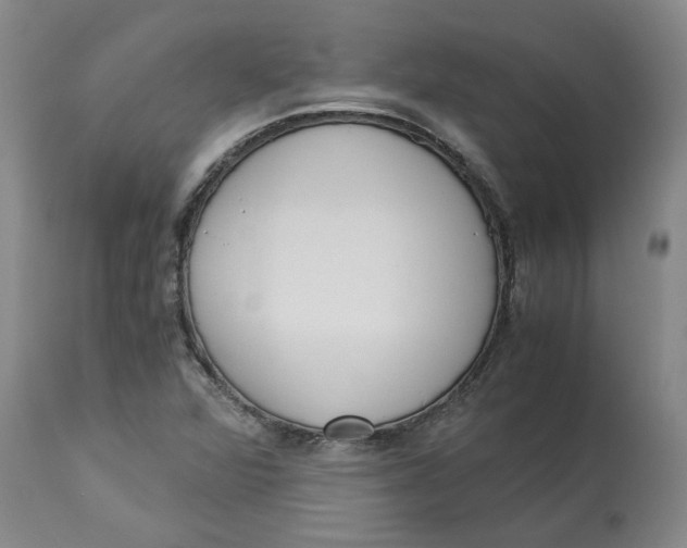 X0000113171360200909251407