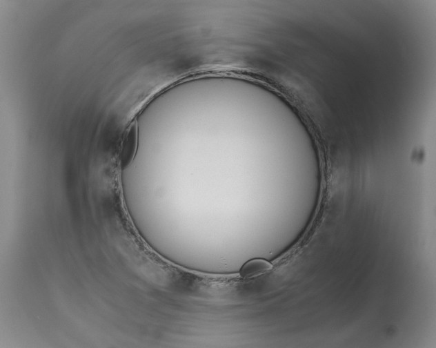 X0000113171361200909251407