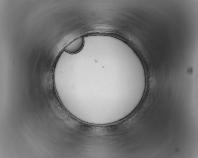 X0000113171362200909251407