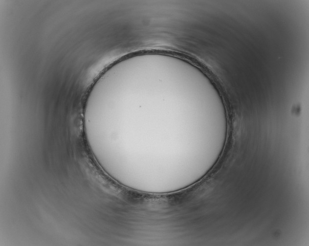 X0000113171363200909251407