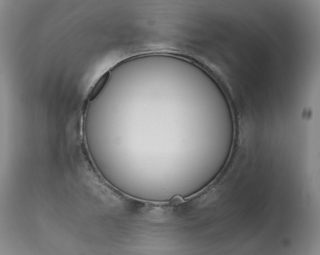 X0000113171365200909251407