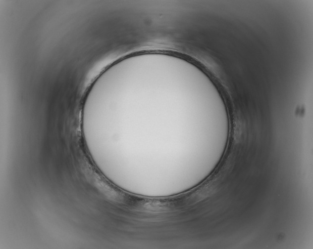 X0000113171366200909251407