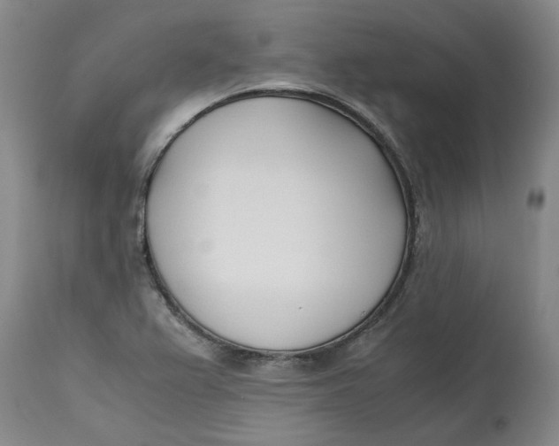 X0000113171367200909251407