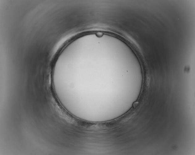 X0000113171368200909251407