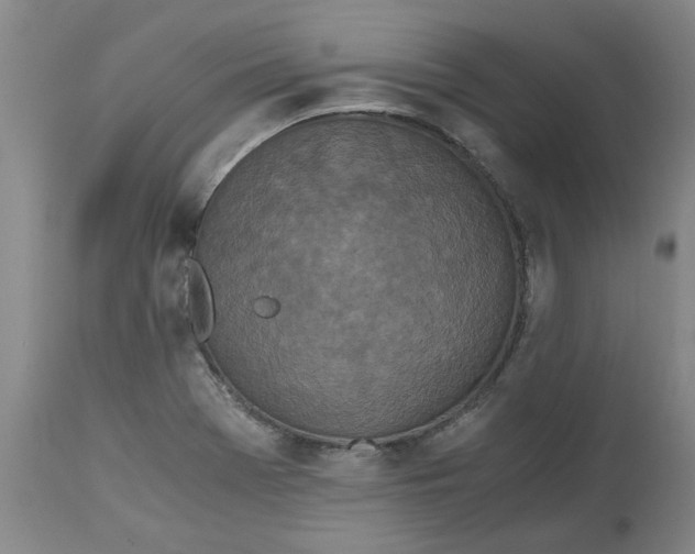 X0000113171369200909251407