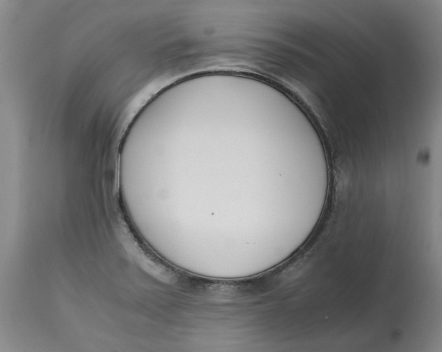 X0000113171371200909251407