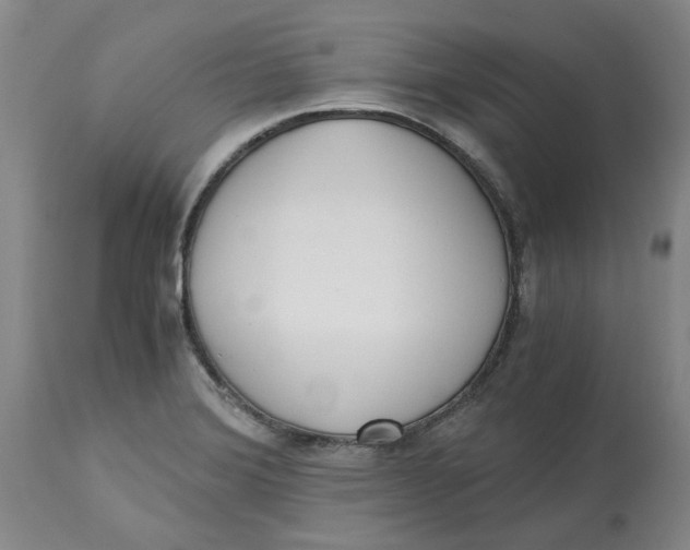 X0000113171372200909251407