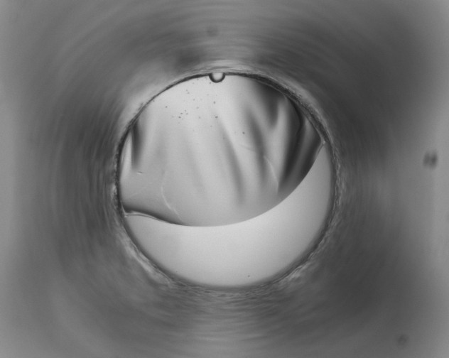 X0000113171373200909251407