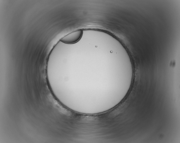 X0000113171374200909251407