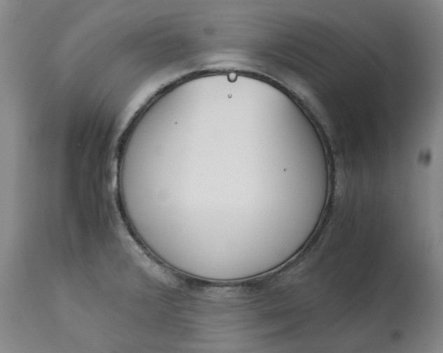 X0000113171376200909251407