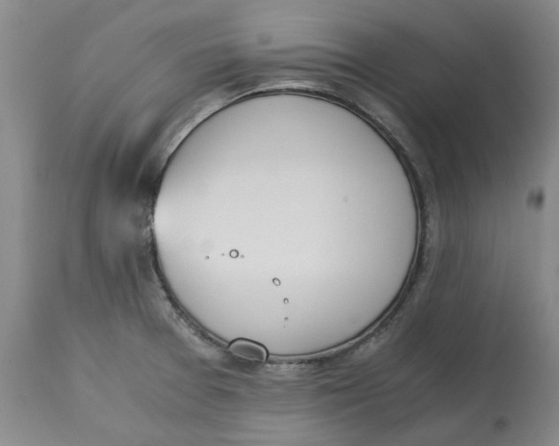 X0000113171377200909251407