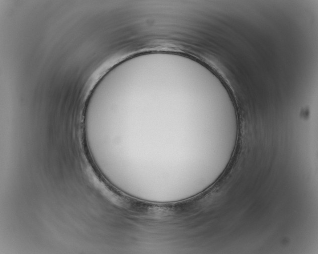 X0000113171379200909251407