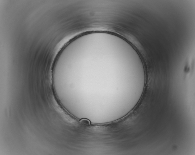 X0000113171380200909251407