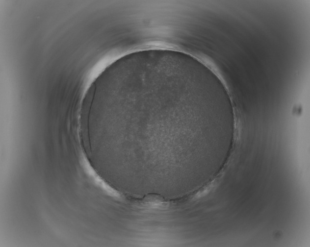 X0000113171381200909251407