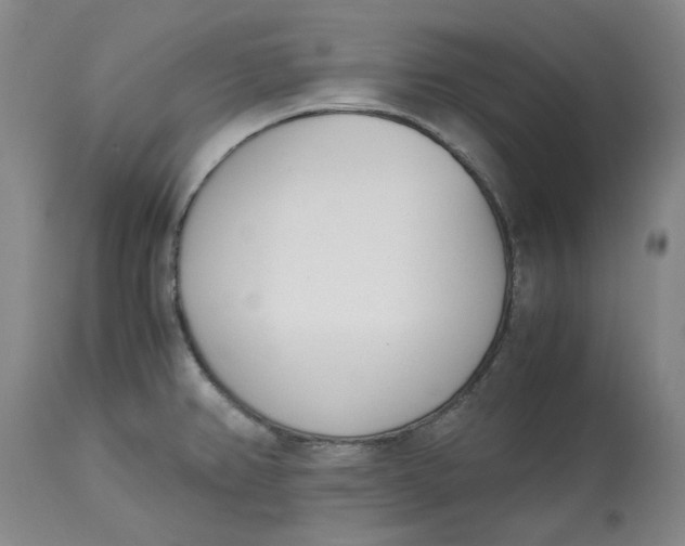 X0000113171382200909251407