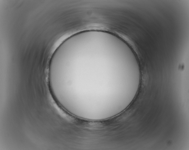 X0000113171383200909251407