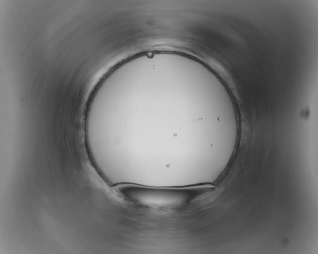 X0000113171384200909251407