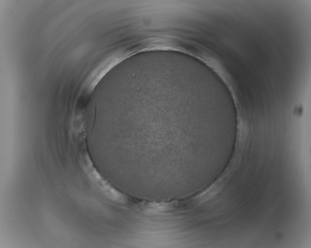 X0000113171385200909251407