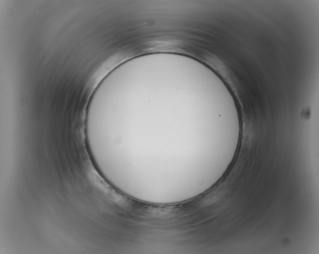 X0000113171386200909251407