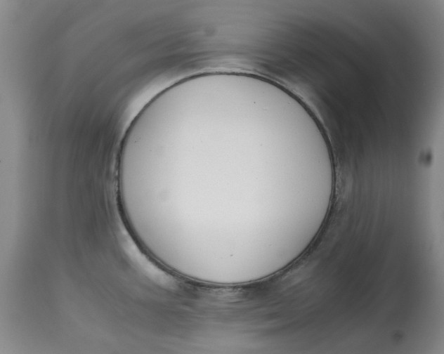 X0000113171387200909251407