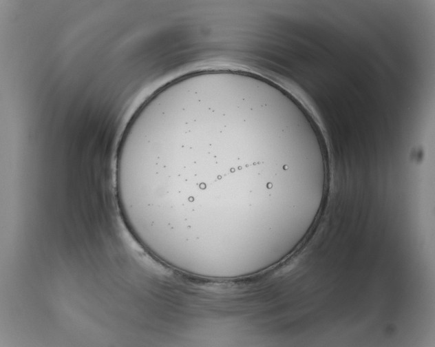 X0000113171388200909251407