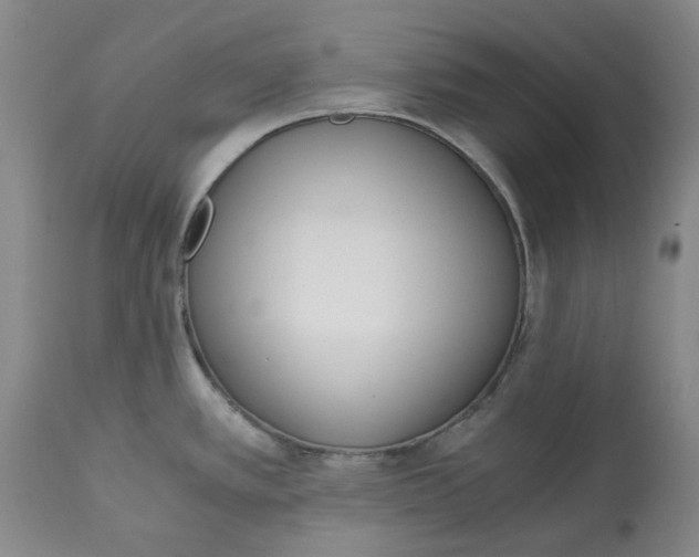 X0000113171389200909251407