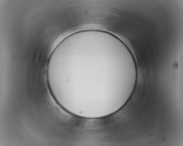 X0000113171390200909251407