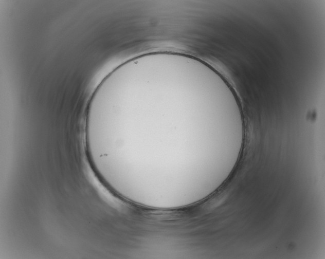 X0000113171391200909251407