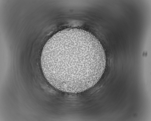 X0000113171393200909251406