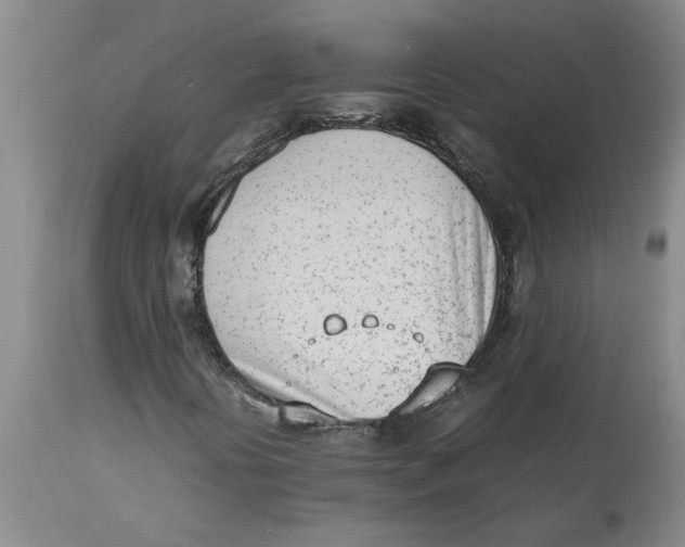 X0000113171394200909251406