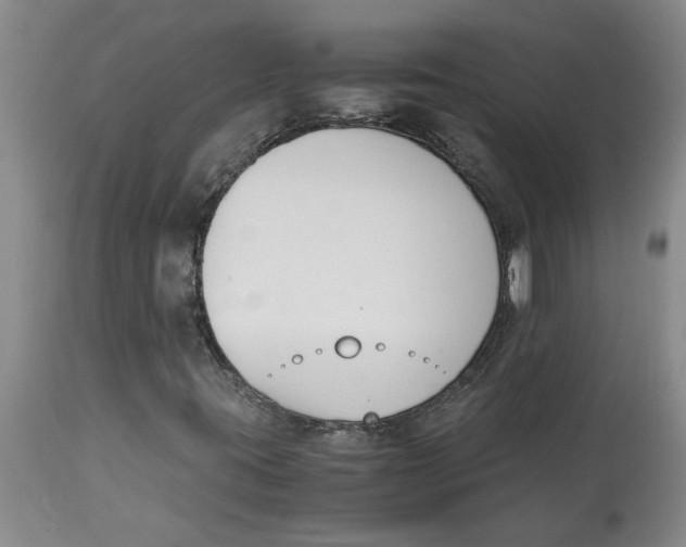 X0000113171395200909251406