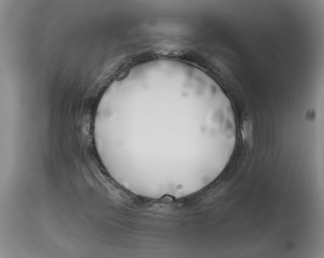 X0000113171396200909251406