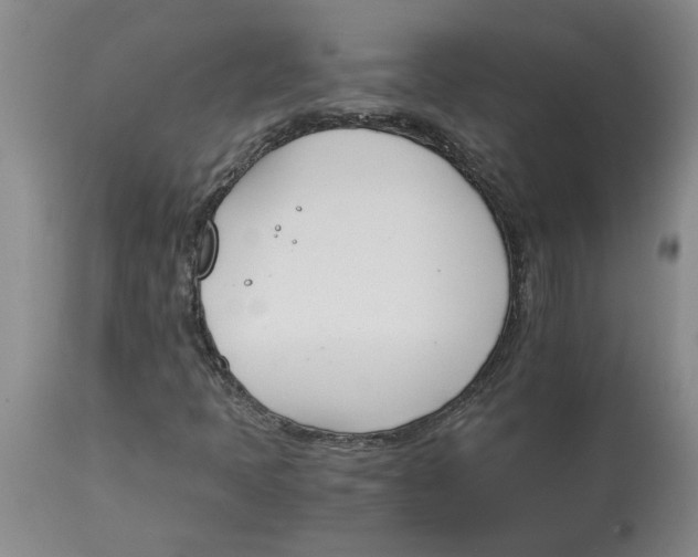 X0000113171397200909251406