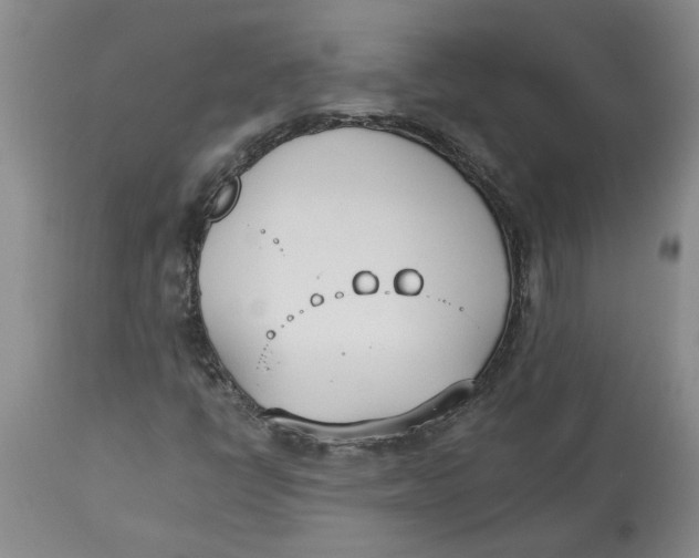 X0000113171398200909251406