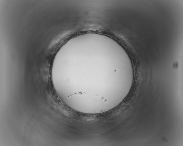 X0000113171399200909251406