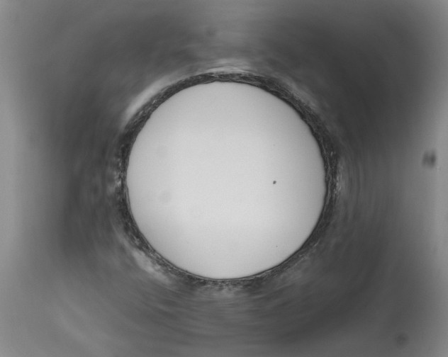 X0000113171400200909251406