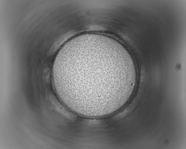 X0000113171401200909251406