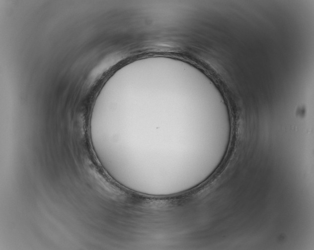 X0000113171402200909251406